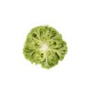 LIMASSOL RZ product photo view-3 S