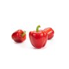 비날레스 VINALES RZ F1 product photo front S
