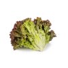 ROONEY RZ product photo view-2 S
