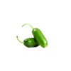 ALLFIT RZ F1 product photo view-2 S
