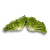 EXPERTISE RZ product photo view-3 S