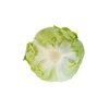 CLOSINAS RZ (45-IC1201) Knox™ product photo view-3 S