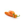 PALERMO OBEDIUS RZ F1 product photo view-2 S