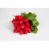 Валері RZ F1 product photo front S