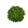 MISTERGUS RZ product photo front S
