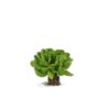 BERNOULLI RZ product photo view-2 S