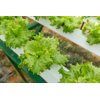 JONCTION RZ product photo view-4 S