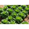 MUROS RZ product photo view-4 S