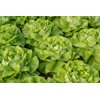 WALWIN RZ (42-BU1364) product photo view-2 S