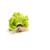 OTHILIE RZ (80-11) product photo view-2 S