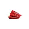 DORISA RZ F1 product photo view-3 S