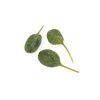 BINTURONG RZ F1 product photo view-2 S