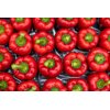 Ред Джет RZ F1 product photo view-2 S