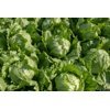ARUANAS RZ product photo view-3 S