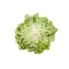 KIRINIA RZ (83-44) product photo view-3 S