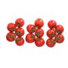 SANPAVEL RZ F1 product photo view-2 S