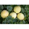 ORALI RZ F1 (34-HL0006) product photo view-4 S