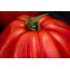 ARALDINO RZ F1 product photo view-3 S