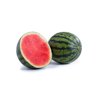 CHERRINHO RZ F1  product photo front S