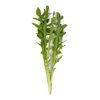 DIOMEDES (89-WR015) product photo view-4 S