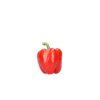 35-BR2068 RZ F1 product photo front S