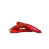 PALERMO RAPHINHA RZ F1 product photo front S