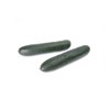 DORSALY RZ F1 product photo front S