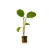 ALARIC RZ F1 (90-904) product photo front S