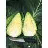 LINCMA RZ F1 product photo view-2 S