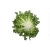 SINTINAL RZ product photo view-2 S