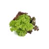 Salatriomix 7 (3x5tpc) product photo front S