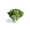 ZIKITA RZ (41-CR2239) product photo view-2 S