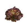 JERRICAN RZ (43-539) product photo front S