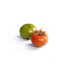 ERRASTY RZ F1 product photo view-3 S