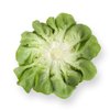 SARTRE RZ product photo view-3 S