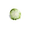 NEVANAS RZ (45-IC4317) product photo view-3 S
