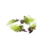 LUMIREX RZ product photo view-3 S