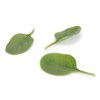 NANDU RZ F1 product photo view-2 S
