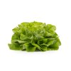 GAMBETTA RZ product photo view-2 S