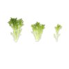 EXMOND RZ product photo view-3 S
