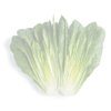 FAUSTUS RZ (41-CO1347) product photo front S