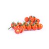 TASTERY RZ F1 (72-136) product photo front S