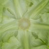 WELDON RZ product photo view-4 S