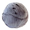 RESIMA RZ F1 product photo front S