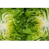 EVADNE - EDWIGE RZ product photo view-3 S