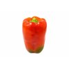 EMBERION RZ F1 Foto do produto front S