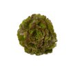 NOVELSKI RZ (81-92) product photo front S