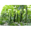 玛香蒂(24-921)Marshyangdi product photo view-3 S