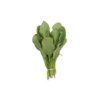 SKIPJACK RZ F1 product photo view-3 S