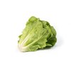 MAXIMUS RZ (41-95) product photo front S